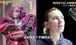 金刚哥被爆料视频播放全集,真相与争议交织